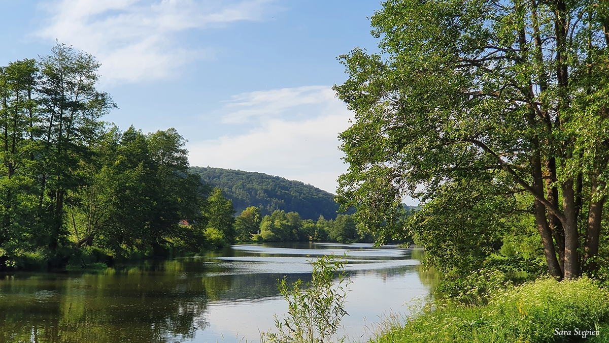 Rozw&oacute;j MCCXLI