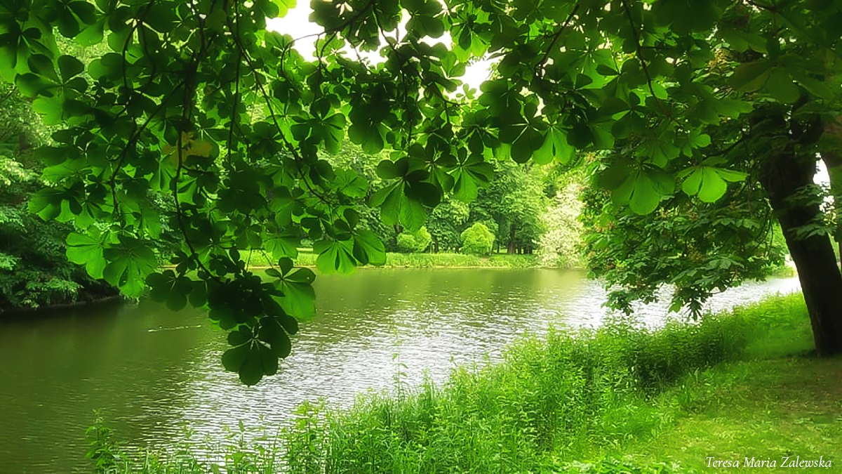 Rozw&oacute;j CMLXXIX