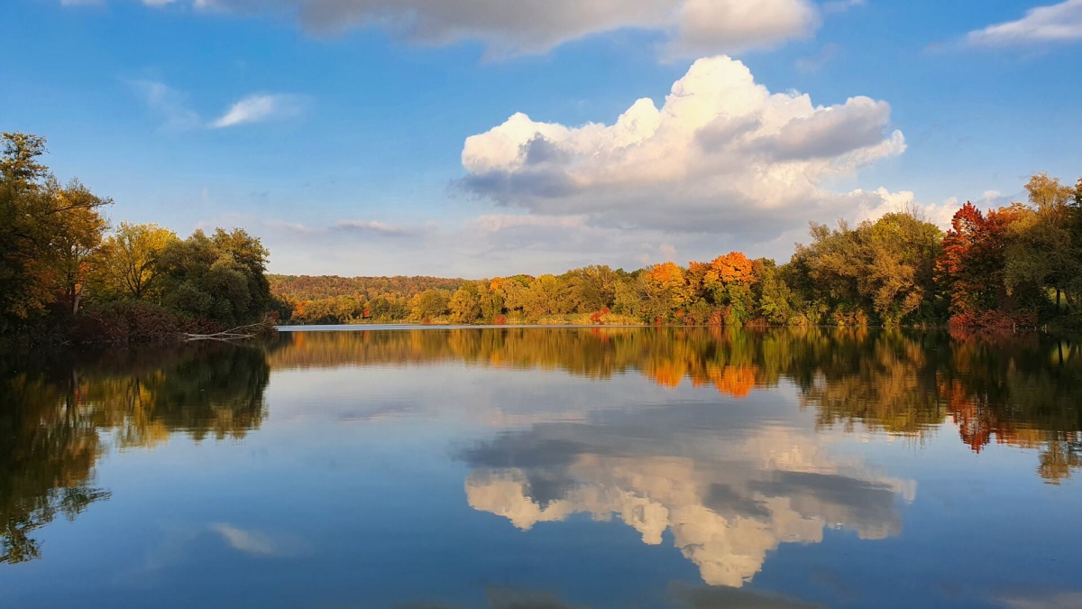 Rozw&oacute;j MDXXXVI