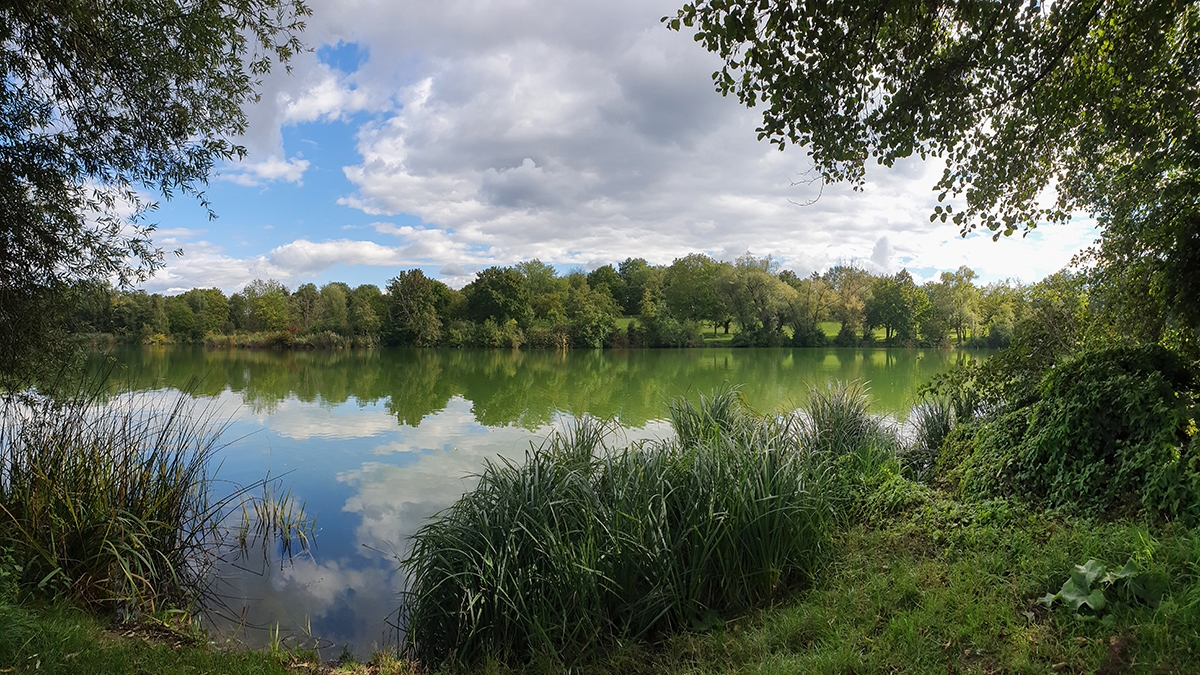 Rozw&oacute;j MCCXCII