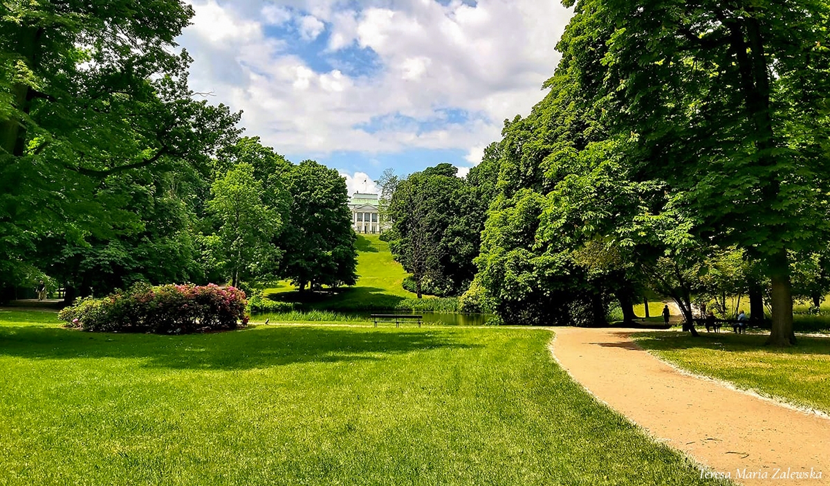 Rozw&oacute;j CMLXXVIII