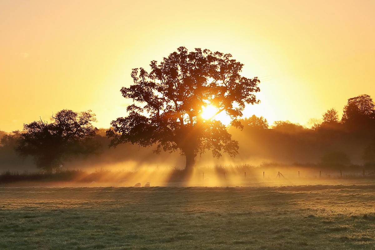 Rozw&oacute;j DCCCXLVIII