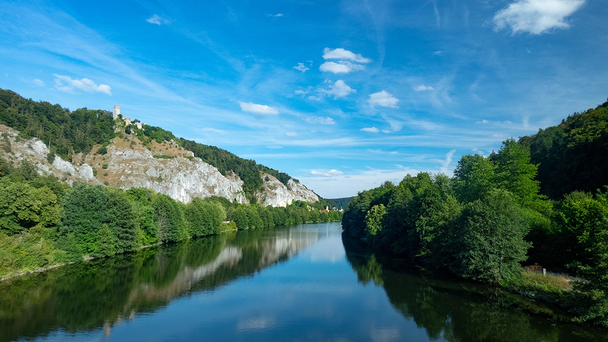 Rozw&oacute;j MCCLXXII