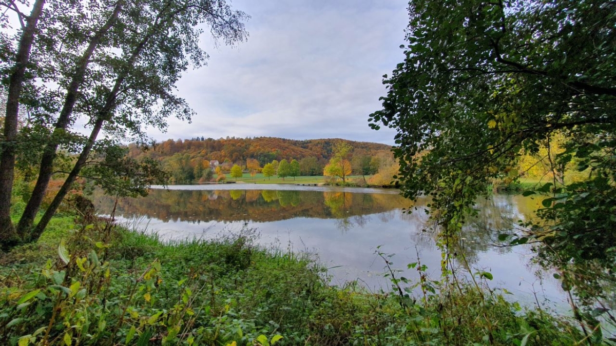 Rozw&oacute;j MCCCXCIII