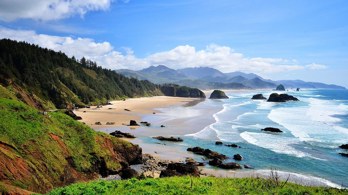 Rozw&oacute;j CMLXXXV