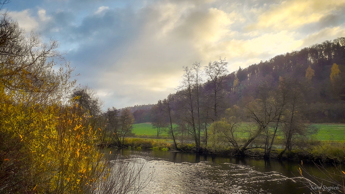 Rozw&oacute;j MXXXIX