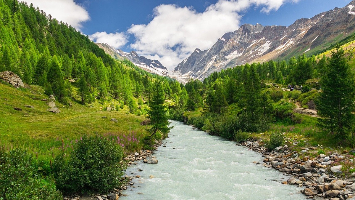 Rozw&oacute;j CMLXXXII