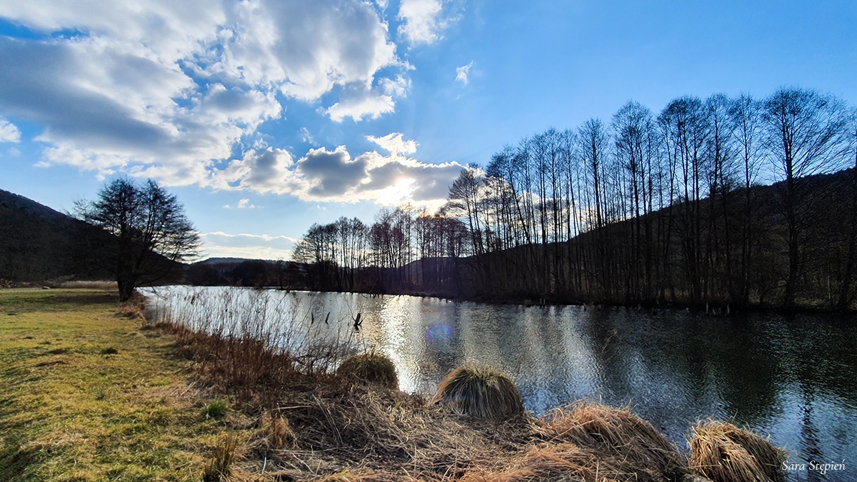 Rozw&oacute;j MLXXXVII