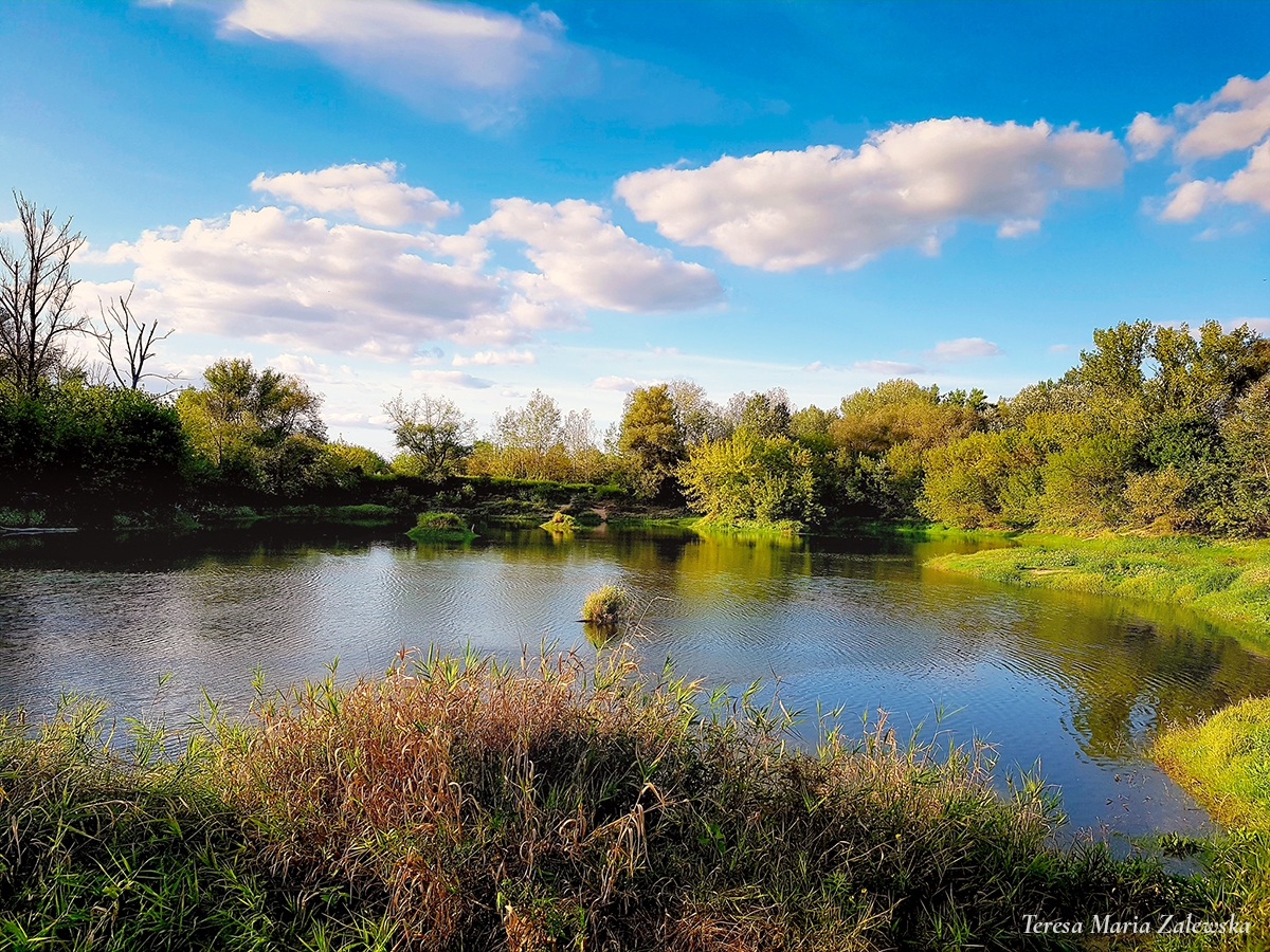 Rozw&oacute;j DCCCII