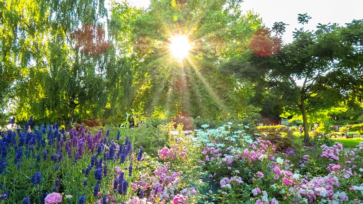 Rozw&oacute;j MDXXII