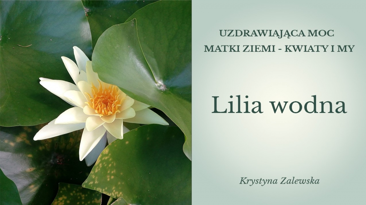 Uzdrawiająca moc Matki Ziemi - Kwiaty i my II