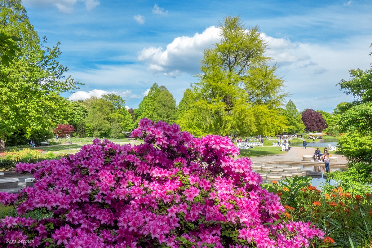 Rozw&oacute;j DCCXXXI