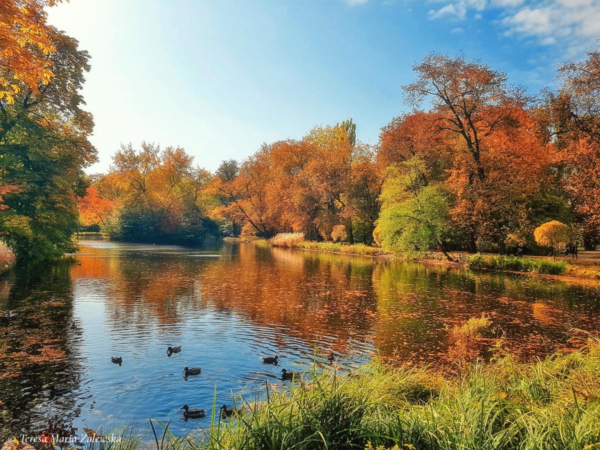 Rozw&oacute;j CCCLXXI