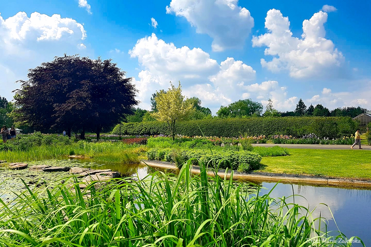 Rozw&oacute;j DCCXXIV