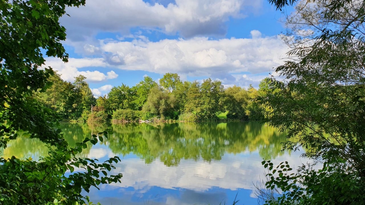 Rozw&oacute;j MCCCLXXX