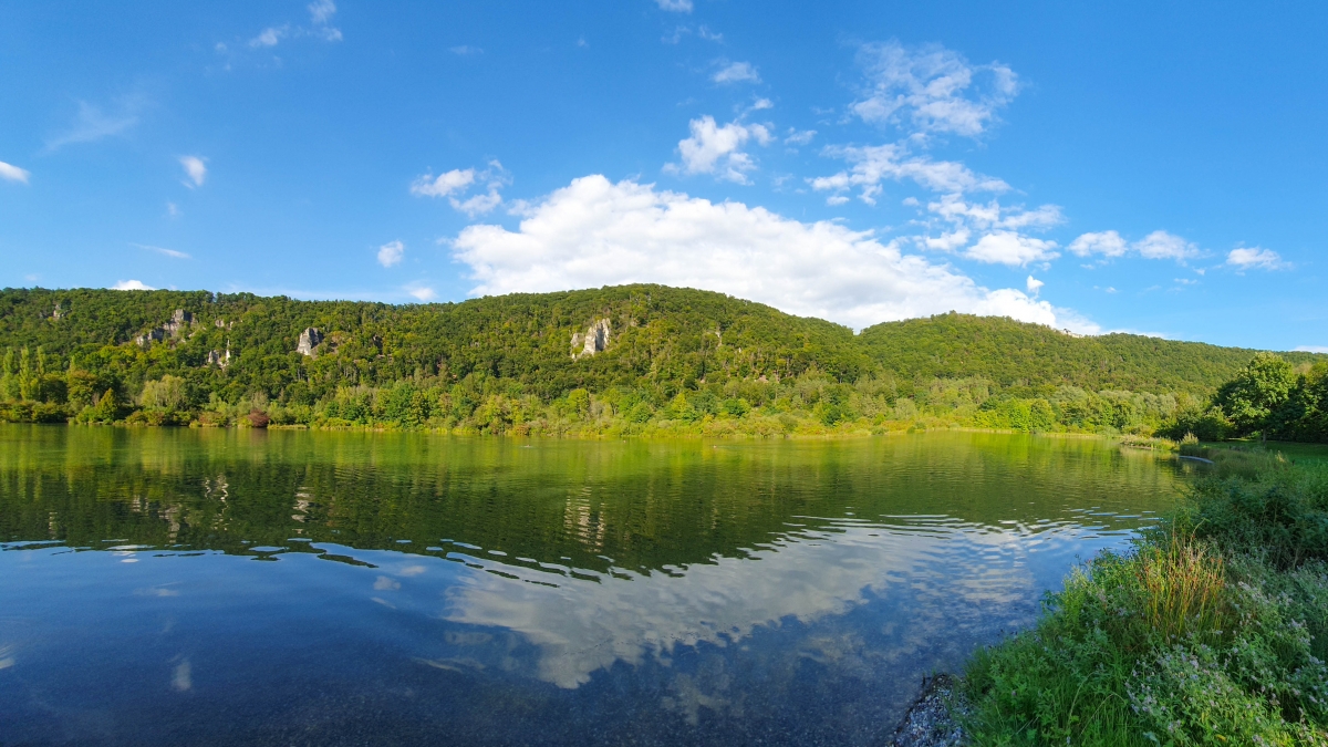 Rozw&oacute;j MCCCIV