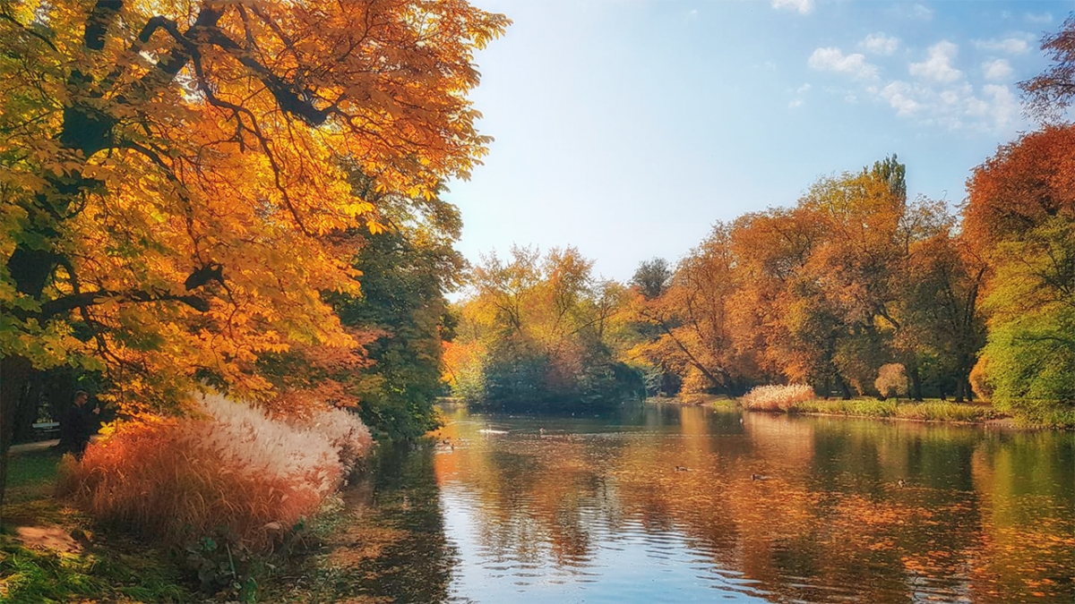 Rozw&oacute;j MCCCXXI