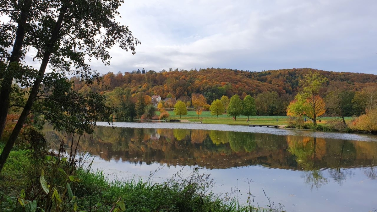 Rozw&oacute;j MCCCXCIV