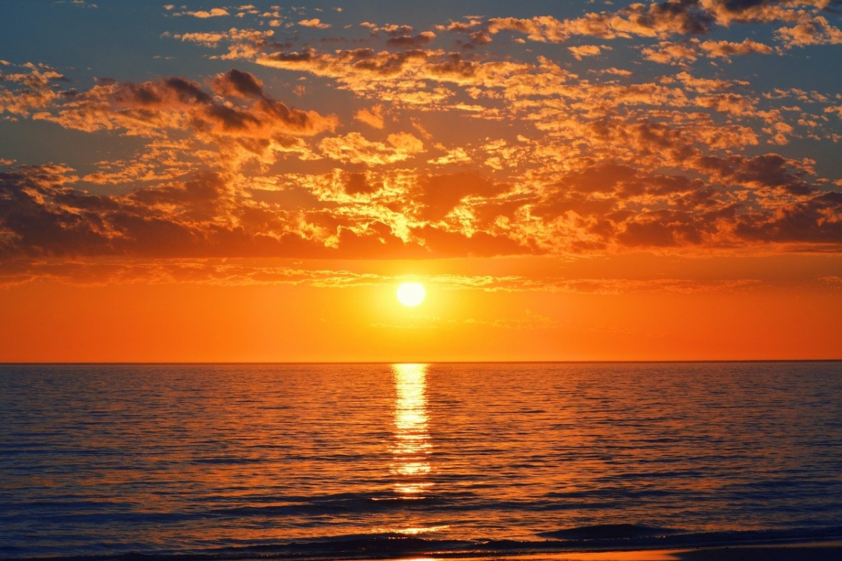 Rozw&oacute;j DCCLXVI