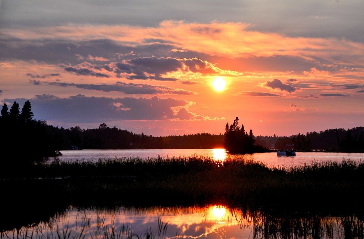 Rozw&oacute;j DCCLXIV