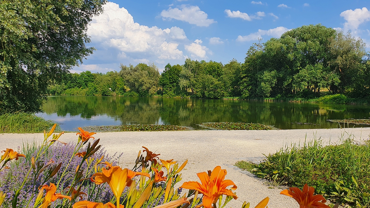 Rozw&oacute;j MCCXLVIII