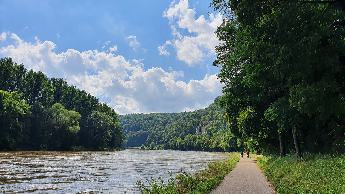 Rozw&oacute;j MCCLXXXIII