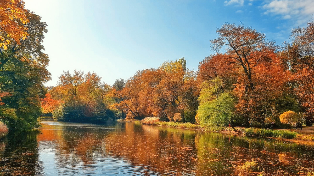 Rozw&oacute;j MCCCXXIII