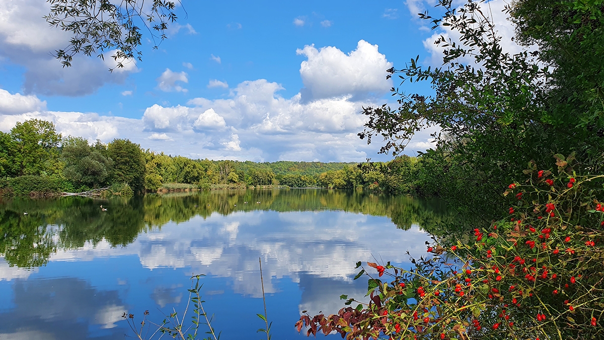 Rozw&oacute;j MCCXCVIII