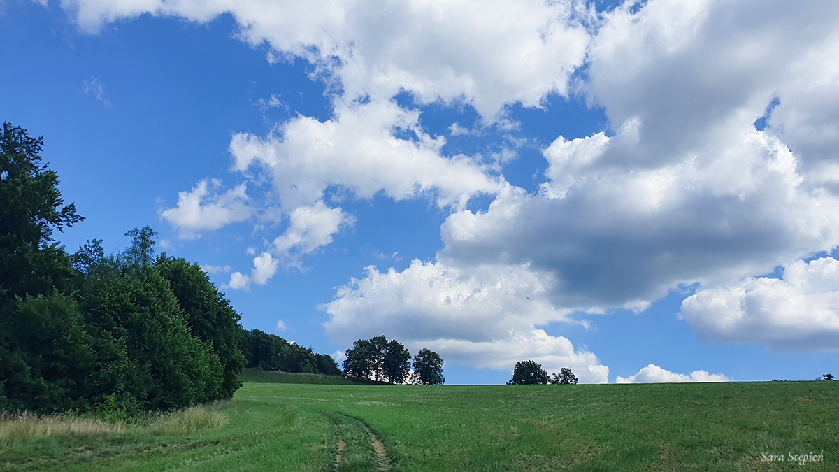 Rozw&oacute;j CDXLVIII