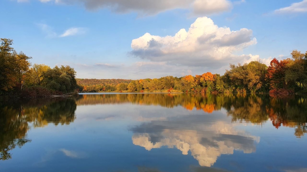 Rozw&oacute;j MCCCXC