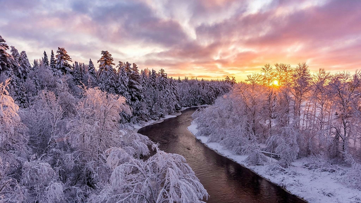 Rozw&oacute;j MLXXVII