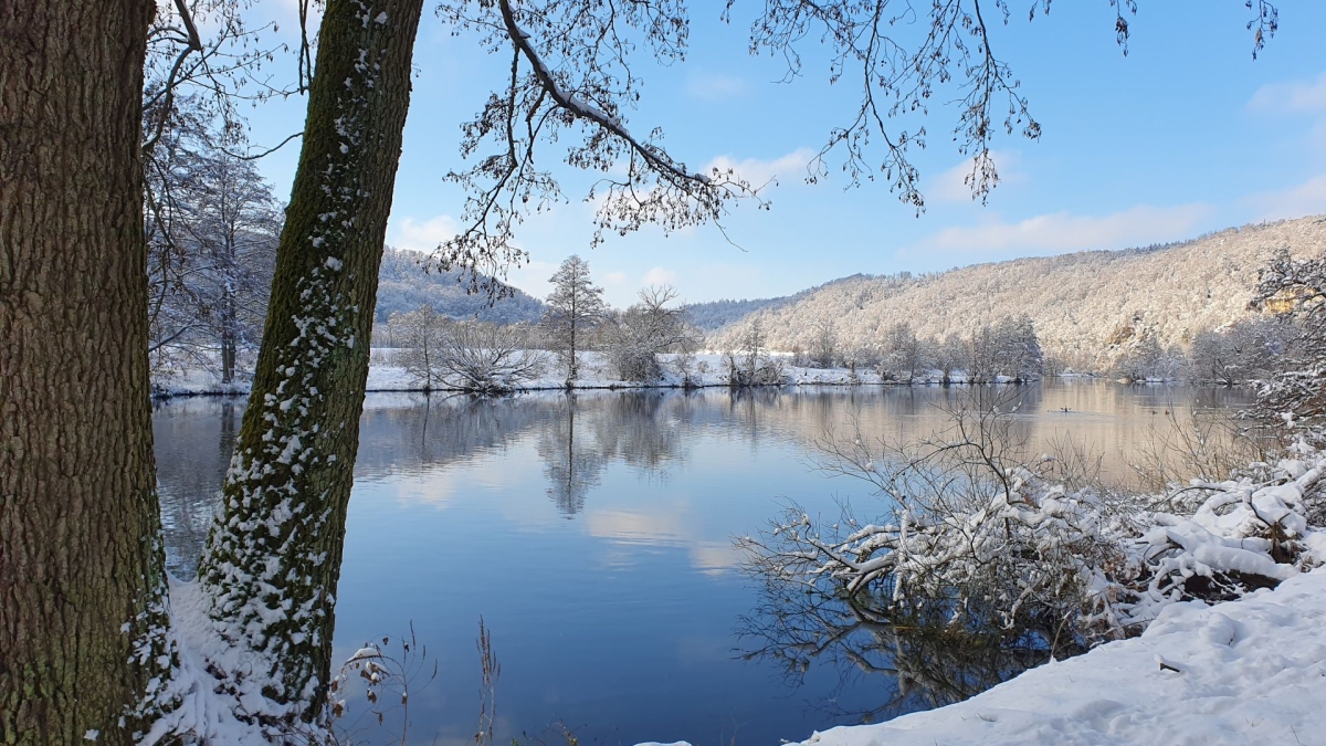 Rozw&oacute;j MDXLVI