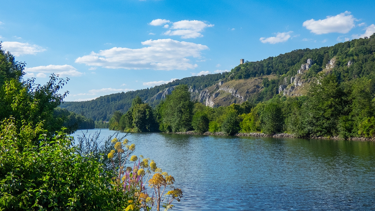 Rozw&oacute;j MCCLXIII