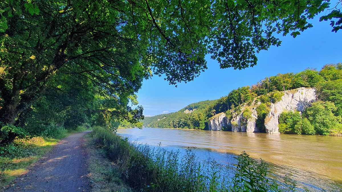 Rozw&oacute;j MCCLXXXII