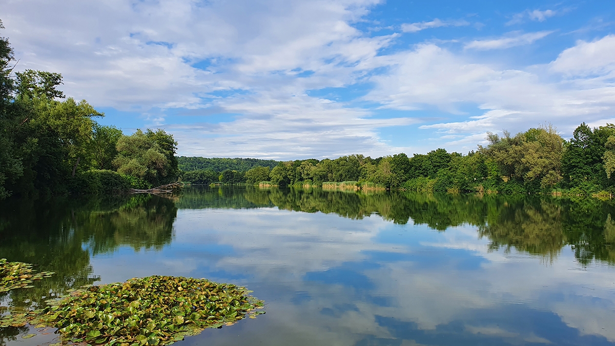 Rozw&oacute;j MCCLII