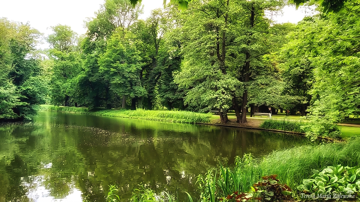 Rozw&oacute;j CMLXXI