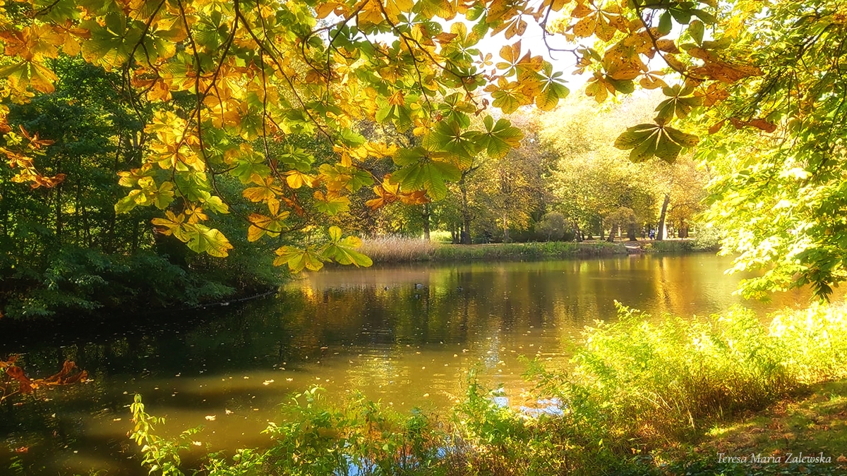 Rozw&oacute;j MXXIII