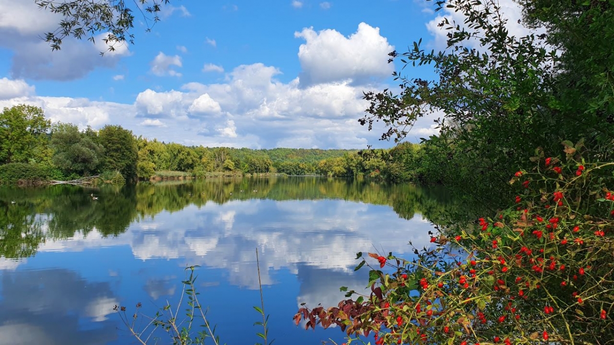 Rozw&oacute;j MCCCLXXXIII