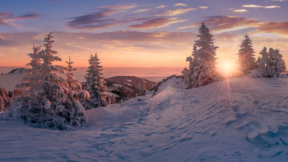 Rozw&oacute;j MCCCXXXIII