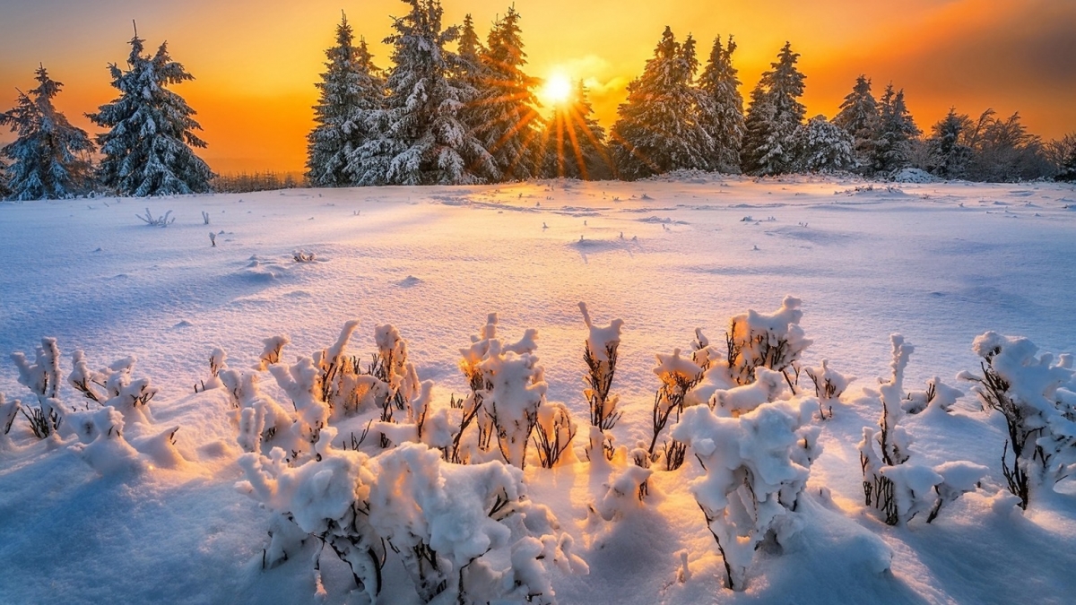 Rozw&oacute;j DCCCLXXXIV