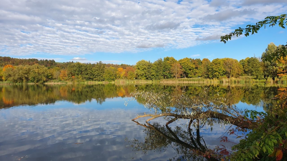 Rozw&oacute;j MCCCLXXXVIII