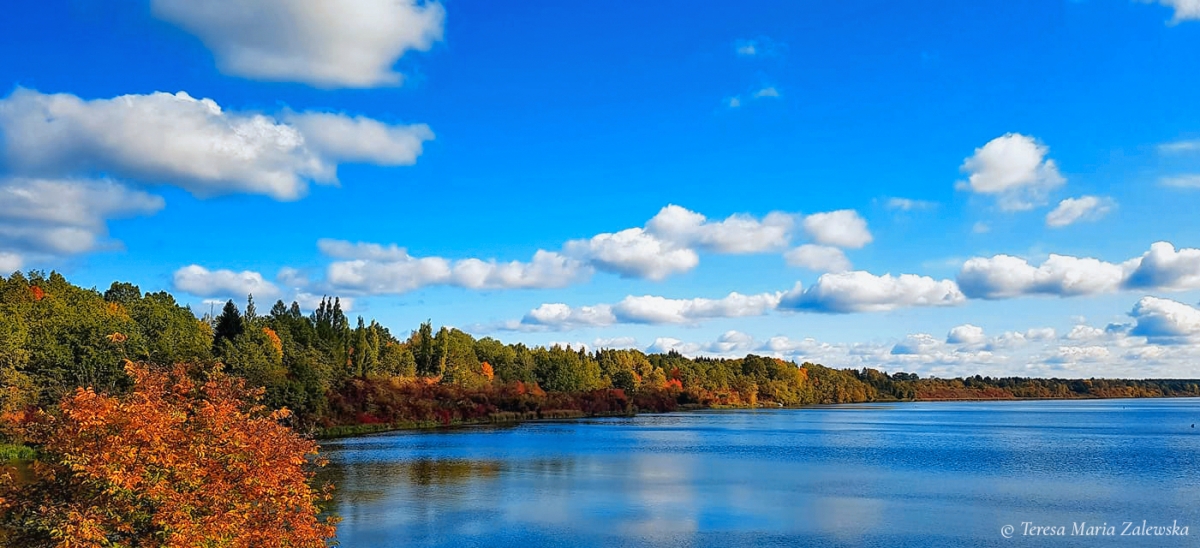 Rozw&oacute;j CDLXXXIX