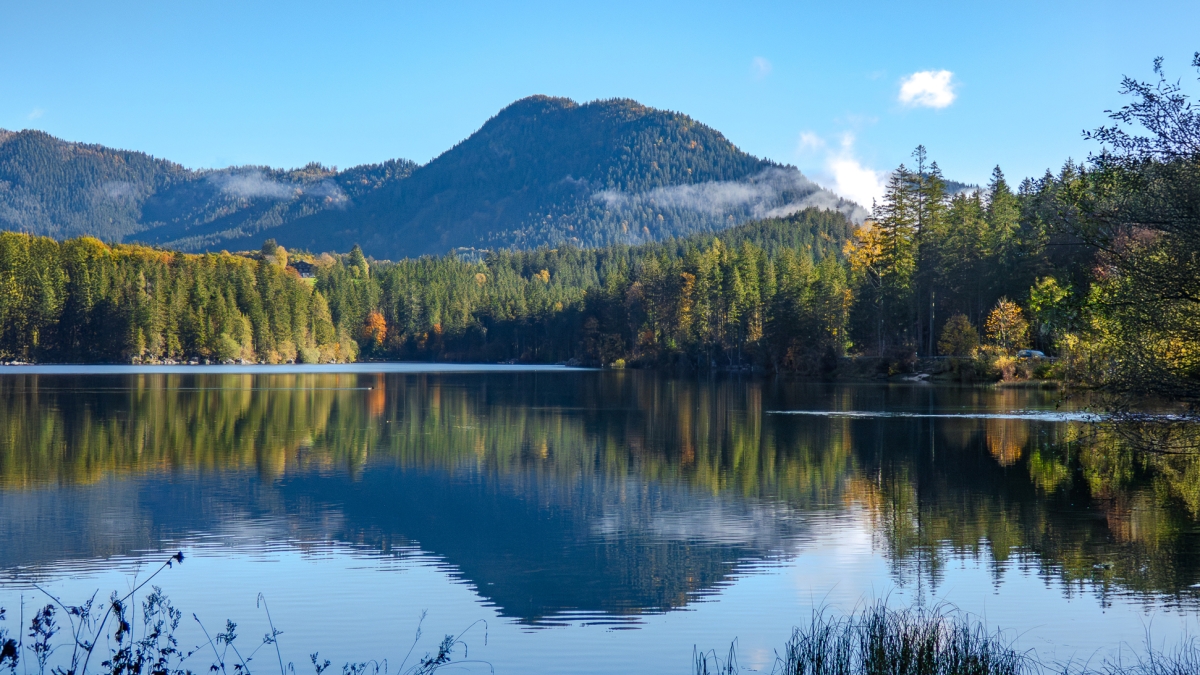 Rozw&oacute;j MCDLXV