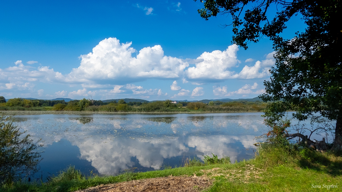 Rozw&oacute;j CXLIII