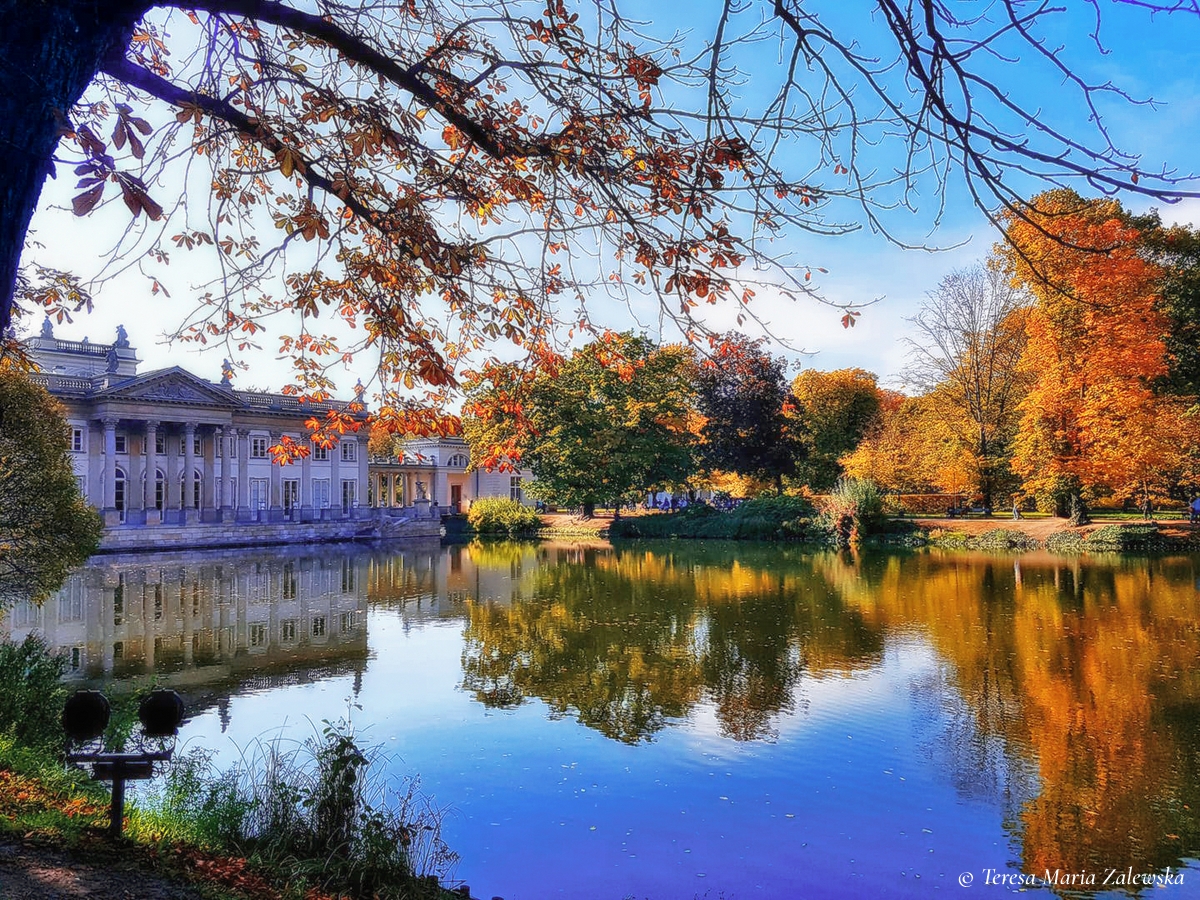 Rozw&oacute;j CCCLXXII