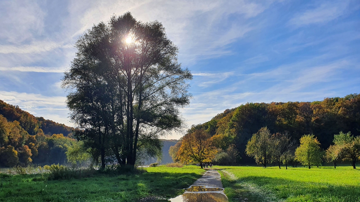 Rozw&oacute;j MCCCXIII