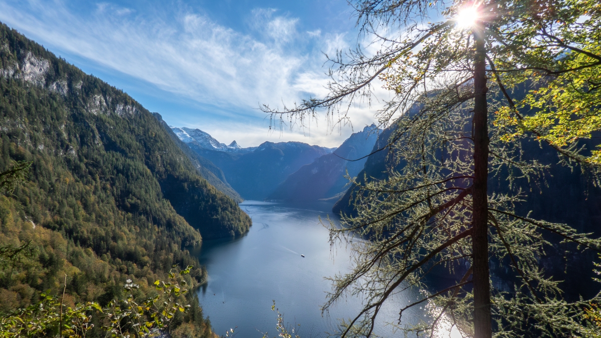 Rozw&oacute;j MCDLXIII