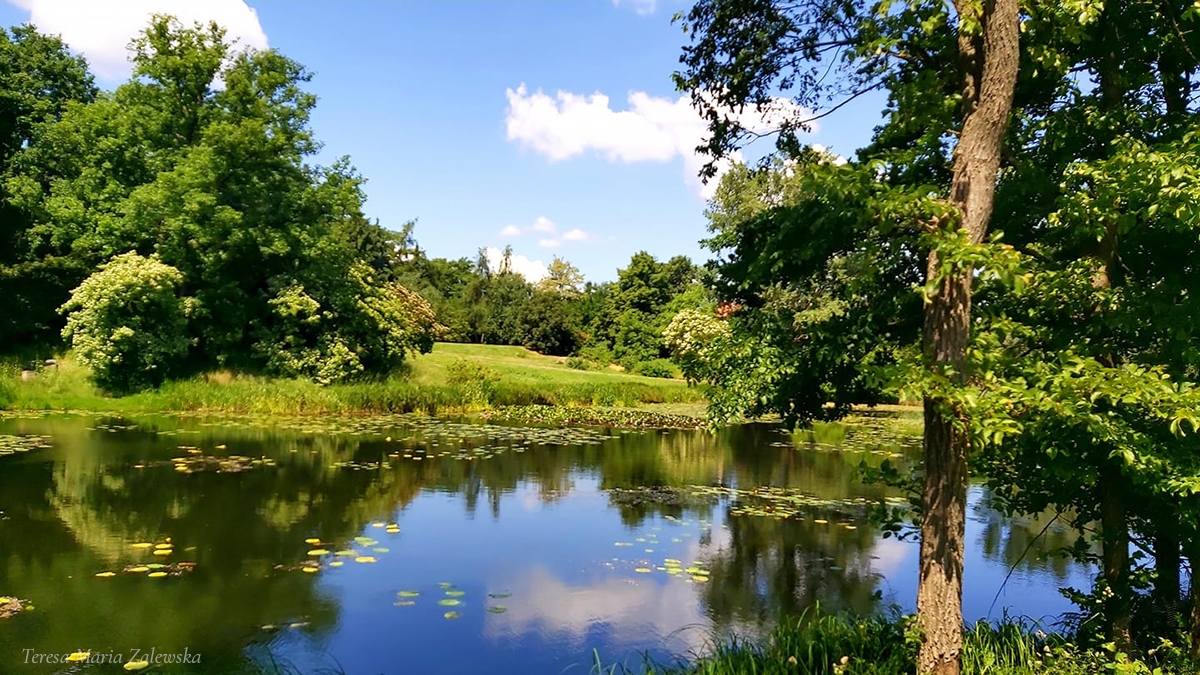 Rozw&oacute;j CMLXVI