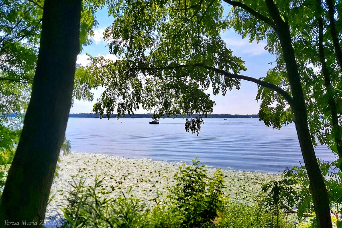 Rozw&oacute;j DCCXLVIII