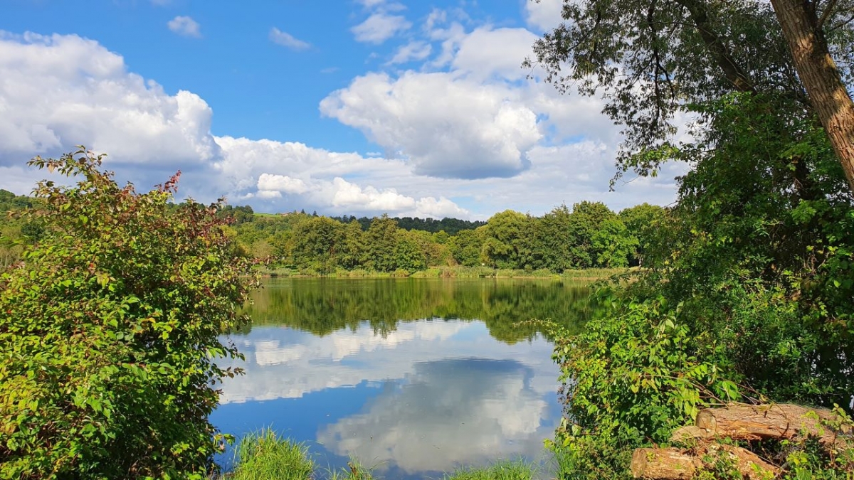 Rozw&oacute;j MCCCLXXXV